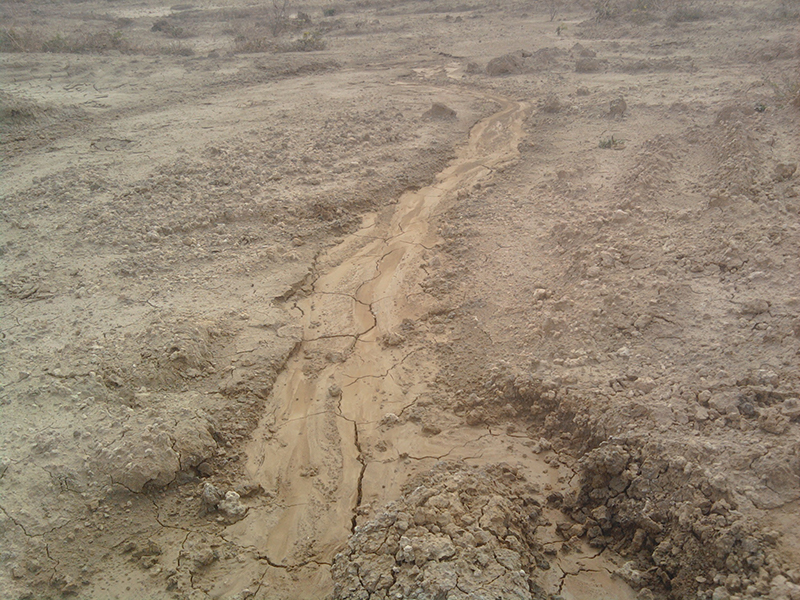 土壤含水量測(cè)試儀 土壤含水量測(cè)試儀